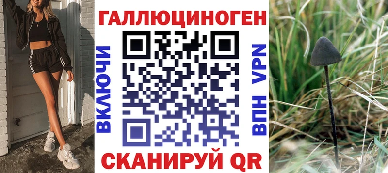 Купить где  Туринск  Галлюциногенные грибы Cubensis 